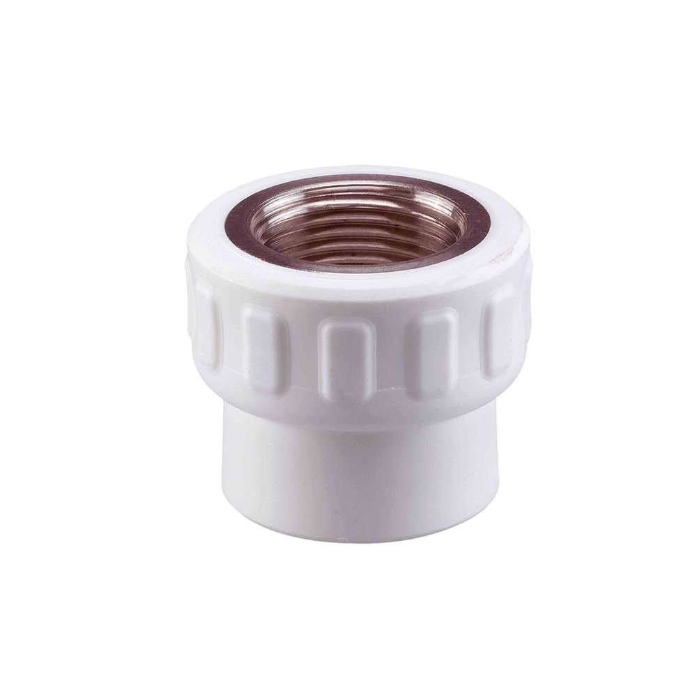 İç Dişli Nipel PPR