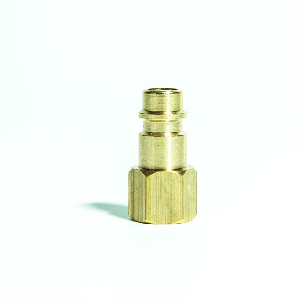 Sarı Hava Jak Ucu Dişi